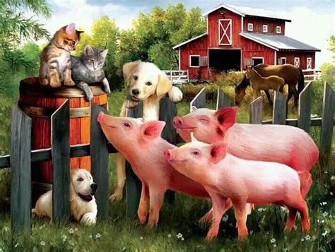 Pin By Grace Lashley On I Love Pigs With Images Pig Illustration
