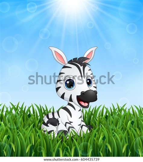 Vector Illustration Cute Baby Zebra Cartoon Stock Vector Royalty Free