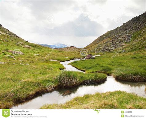Stream In Fresh Green Alps Meadow Snowy Peaks Of Alps In Background