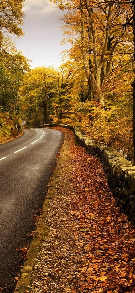 Autumn Road Wallpaper 1080x2340