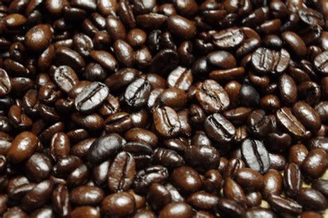 Made with 100% arabica coffee. Caffeine in Coffee Accidental - Guardian Liberty Voice