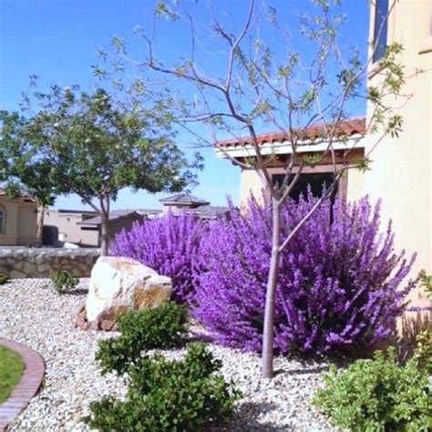 Nice 38 The Best Central Texas Landscaping Ideas For Garden Drought