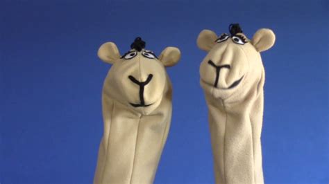Camel Hand Puppet Youtube