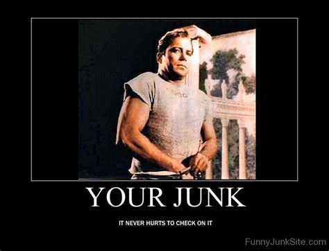 Funny Demotivational Posters Your Junk
