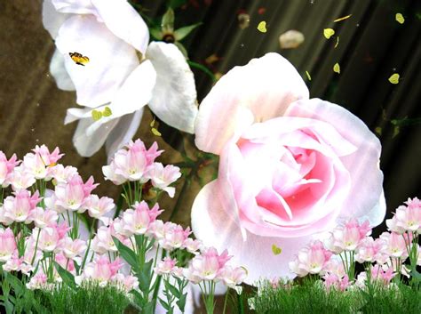 Menakjubkan 11 Wallpaper Flower 3gp Gambar Bunga Indah
