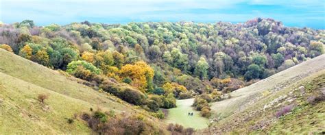 Discover The Beautiful Chiltern Hills Just 35 Miles From London