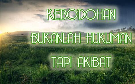 Kata kata indah: Kebodohan bukan hukuman - Wallpaper Motivasi