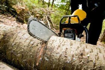 Gesetze in nrw hamburg berlin sachsen etc. Can a Chainsaw Be Used to Trim Bushes? | Home Guides | SF Gate