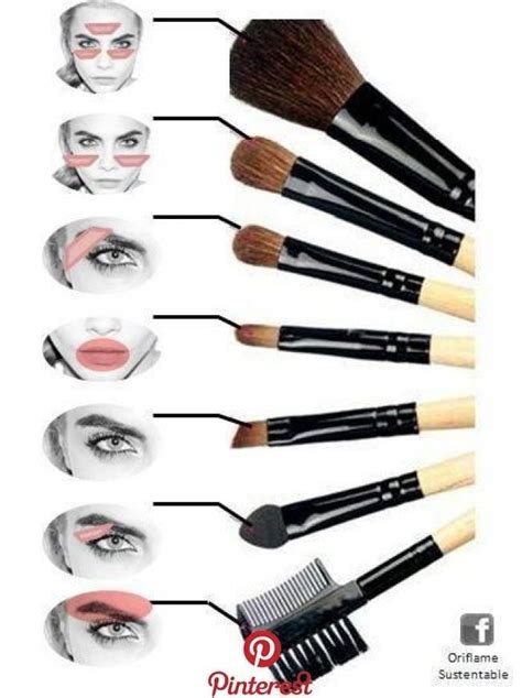 6 Essential Makeup Brushes For Beginners Makeup Cosmetics Eyebrow Makeup Learn Makeup