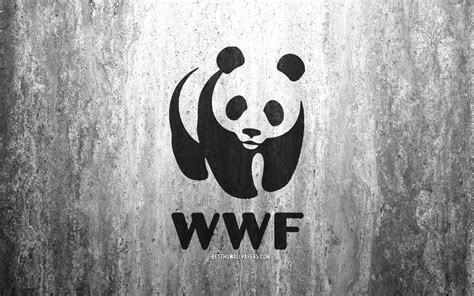 Wwf Wallpapers Top Free Wwf Backgrounds Wallpaperaccess