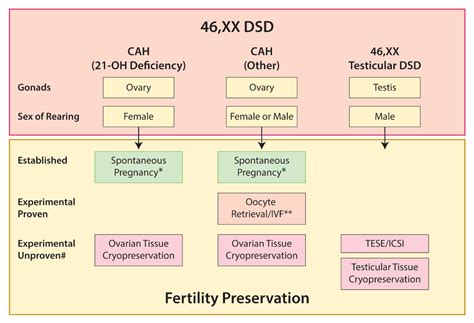Ijms Free Full Text Disorders Of Sex Development—novel Regulators Impacts On Fertility And