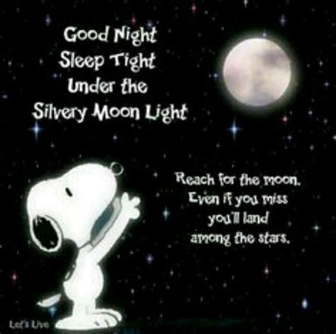 Pin By Doglover14 On Snoopy Good Night My Friend Good Night Sleep