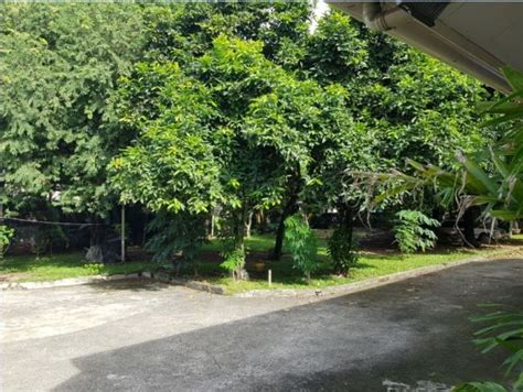 Commercial Lot For Sale In Panagdait Mabolo Cebu City
