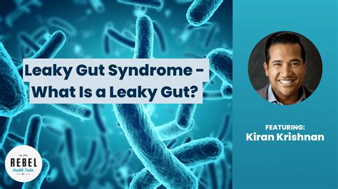 Leaky Gut Syndrome What Is A Leaky Gut Rebel Health Tribe