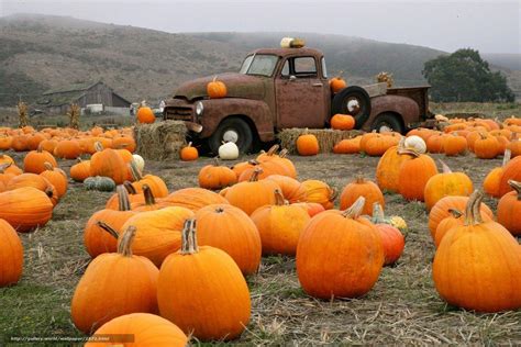 Pumpkin Farm Wallpapers Wallpaper Cave