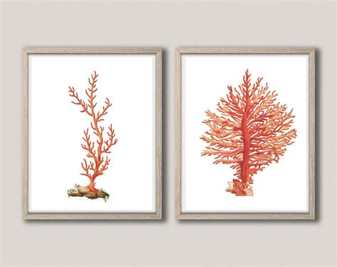 Coral Prints Set Of 2 Coral Illustrations Nautical Wall Art