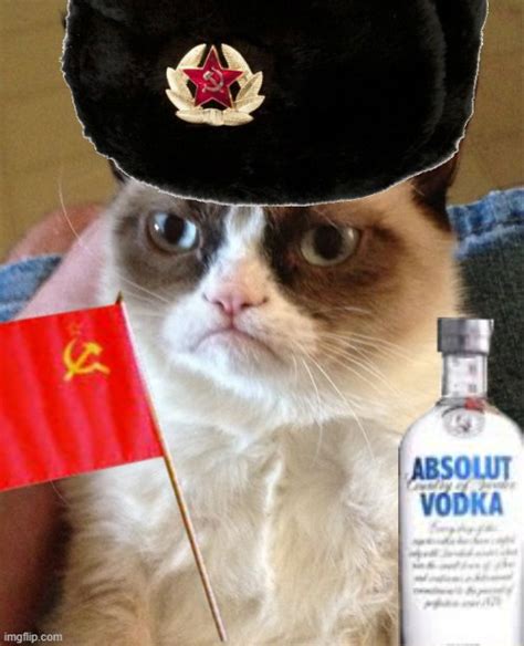 Soviet Grumpy Cat Imgflip