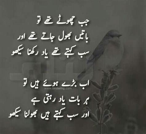 Pin By Asma Naveed On Islamic Posts Sayings And Poetry Urdu Words