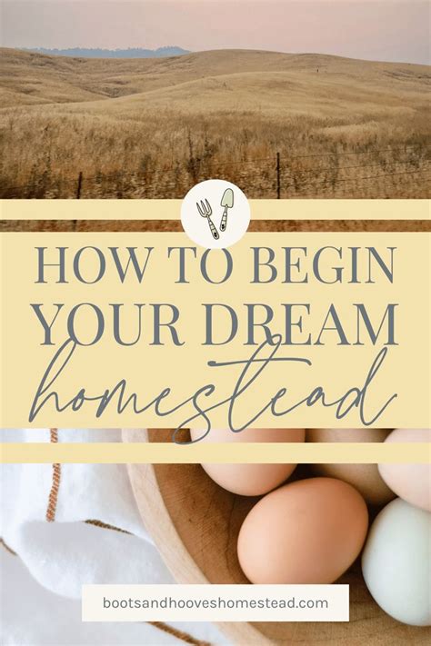Homesteading For Beginners Tips And Resources To Get Started In 2023