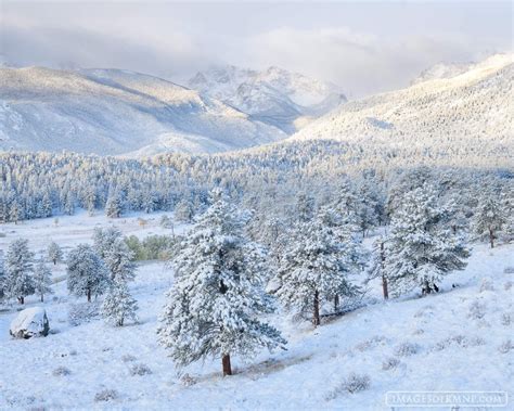 Snowy Day Rocky Mountain National Park Colorado By Erik Stensland