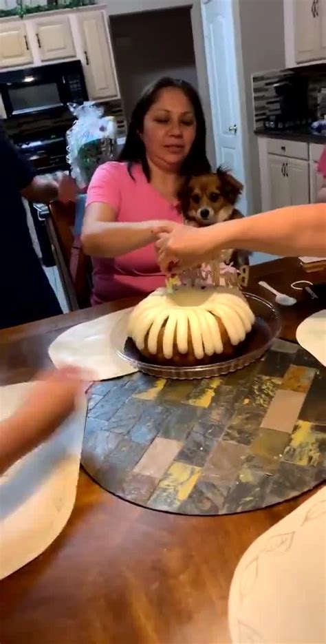 Dad Hits Mom In Face With Whipped Cream On Her Birthday Jukin Licensing