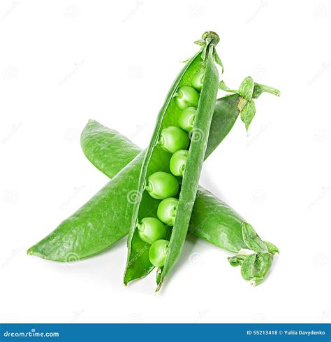 Fresh Green Pea Pod Isolated On White Stock Photo Image Of Bean