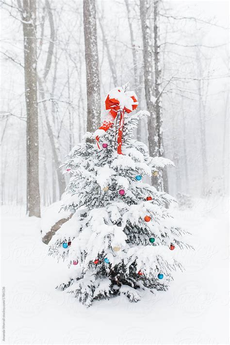 Snow Covered Outdoor Christmas Tree Decorated With Colorful Ornament