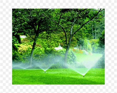 Irrigation Sprinkler Landscaping Lawn Landscape Design Png 649x649px