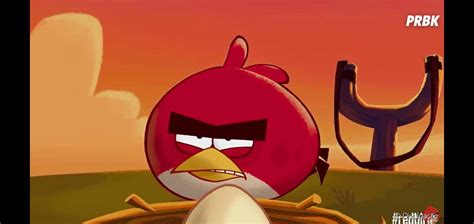 O Pássaro Red é O Mais Sem Paciência De Angry Birds O Mais Engraçado