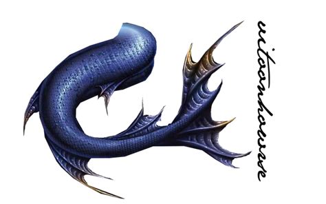 Mermaid Tail Drawing Png