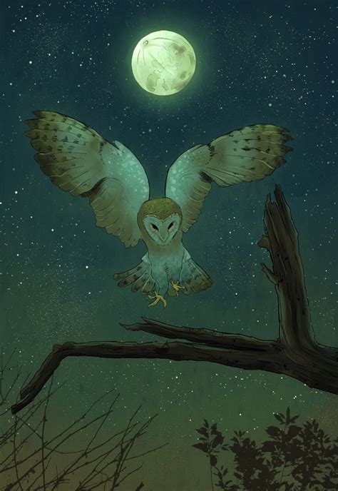 Night Owl An Art Print By Sophie Eves Inprnt