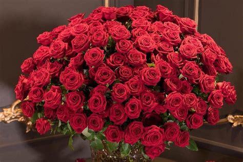 200 Red Roses Buy Online Or Call 01202 762940
