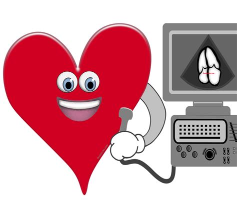 Echocardiography Resources