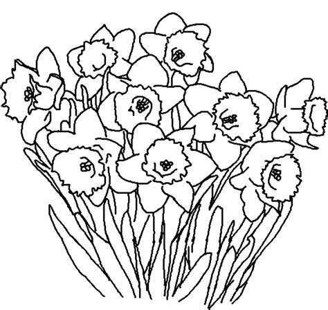 Desene de colorat de primavara. Flori de primăvară de colorat | Dragoş Şerban