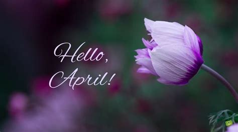 Hello April Images Pictures Photos Wallpapers Clipart Birth Flower For