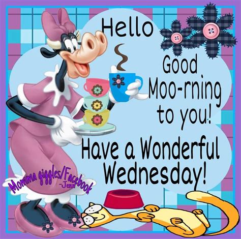 Hello Good Moo Rning To You Have A Wonderful Wednesday