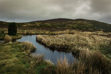 The Welsh Moors Stock Photo Image Of Water Landscape 139618108
