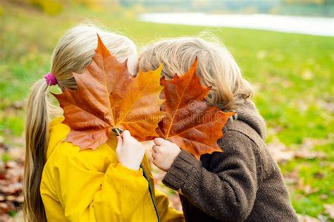 Happy Children With Autumn Leaf Kissing In Park Stock Photo Image Of