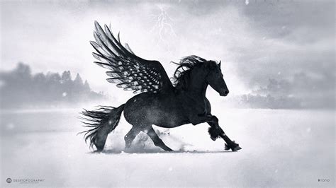 Privacy policy · shipping & returns · terms & conditions . Black Pegasus Wallpaper (75+ images)