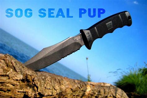 Sog Seal Pup Elite Review Knifeup