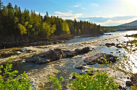 Taiga Qué Es Características Flora Fauna Clima Animales Dónde Se