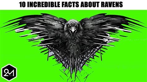 10 Unbelievable Facts That Will Change Your Perception On Ravens Youtube