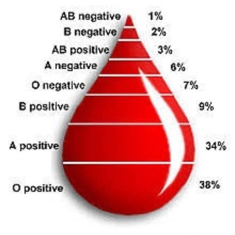 Rarest Blood Type Chart