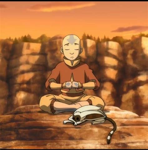 Avatar Aang meditating and Momo sleeping | Avatar aang, Avatar the last