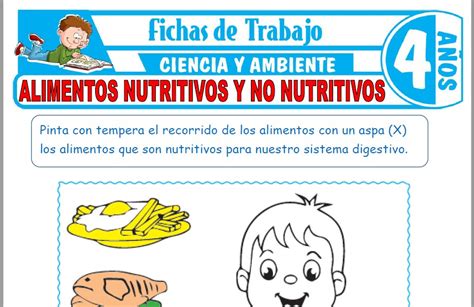 Alimentos Nutritivos Y No Nutritivos Para Niños De Cuatro Años Fichas