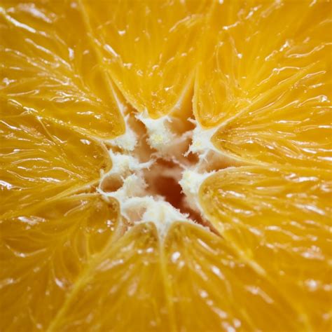 Free Photo Closeup Of Fresh Orange Slice