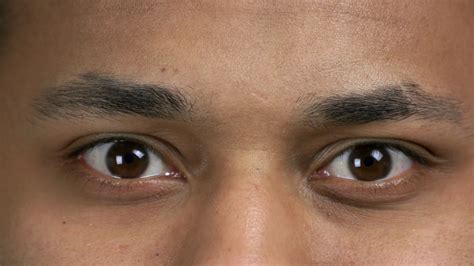 Beautiful Male Eyes Close Up Extreme Close Up Of Young Man With Closed