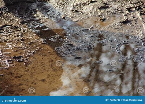A Stone In A Muddy Puddle From The Rain Stock Image Image Of Stone