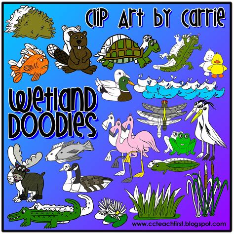 Clip Art By Carrie Teaching First Wetlands Habitat Doodles Digital