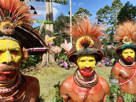 The Bare Bones Of Papua New Guinea Pelorus